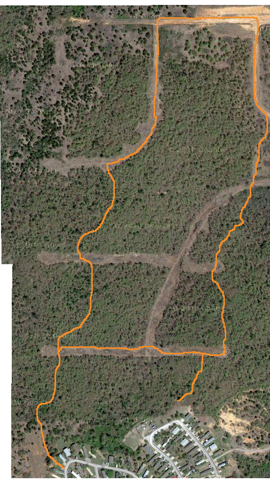 Aerial photo of woodland with trail overlay