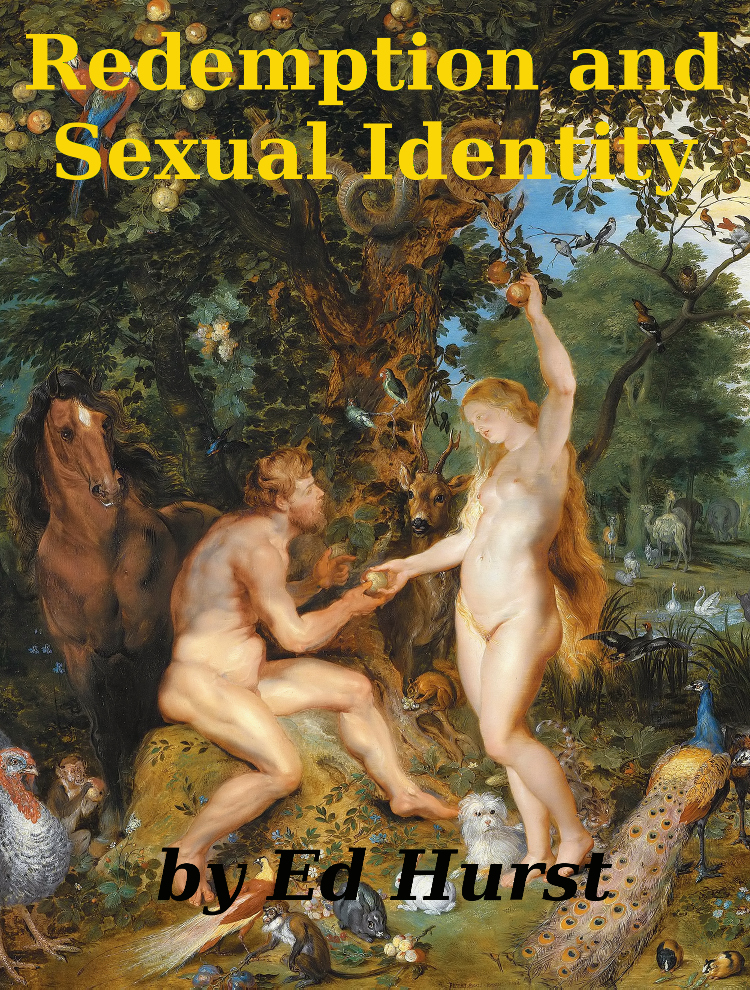 Cover of the book: Redemption and Sexual Identity