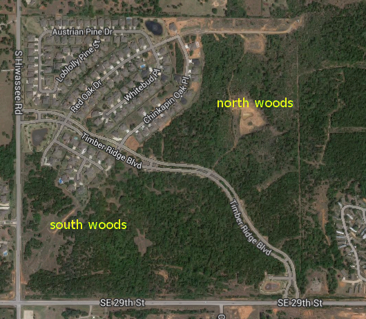 Satellite view of the area where I'm cutting trails.