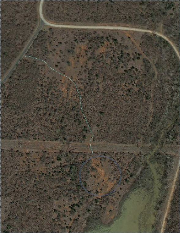 satelliteview-b